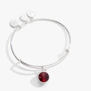 January Birthstone Charm Bangle, Scarlet NWT